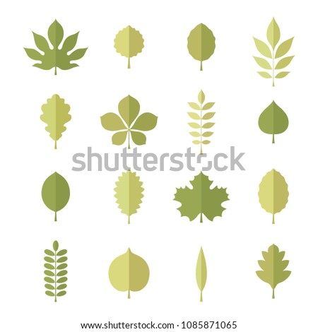 Vector green shapes of tree leaves (elm, beech, ash, linden, birch, alder, aspen, willow, maple,  poplar, rowan, hawthorn, walnut, apple, oak, acacia, chestnut, conker) isolated on white background

