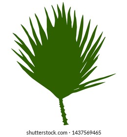 Vector green silhouette of the palm leaf isolated on the white background. Illustration of the tropical leaf for your design.