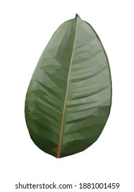 Vektor-grünes einzelnes Fikusblatt einzeln auf weißem Hintergrund. Blumendesign-Element im Low-Poly-Stil.