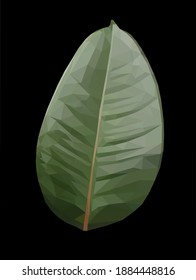 Vector green single ficus leaf isolated on black background. Floral design element in low poly style.