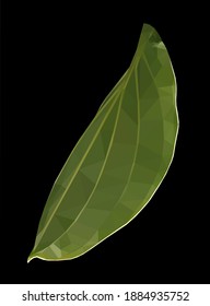 Vector green single ficus leaf isolated on black background. Floral design element in low poly style.