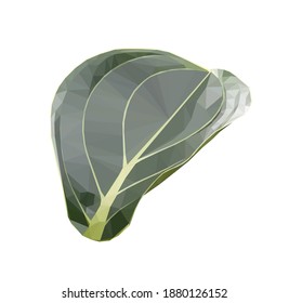 Vector green single medinilla leaf isolated on white background. Floral design element in low poly style.
