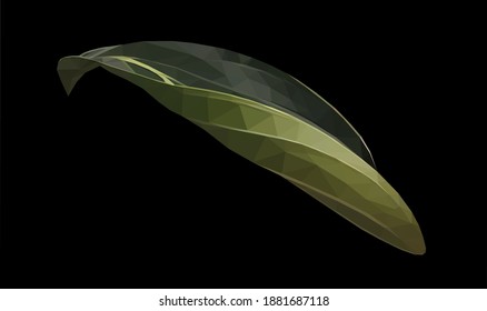 Vector green single medinilla leaf isolated on black background. Floral design element in low poly style.