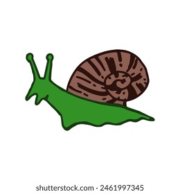 Vector green snail on white background