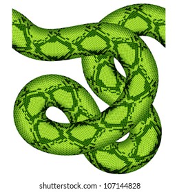 vector green snake seamless