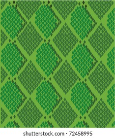 vector green snake skin