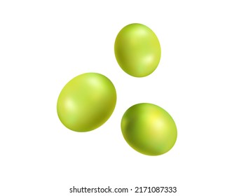 Vector green Spanish olives, isolated on white background. Realistic set oil olive tree. Natural green seeds. Italy ripe berry and fruits. Natural organic vegetable. Vegan food