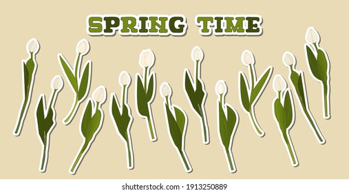 Vector green Spring Time lettering text. Set of Isolated separated white outline tulips on beige background. Elements have white outline contour as paper stickers effect