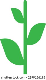 Vector of a green sprout of a plant. Stem and leaves of a tree. Nature and ecology.