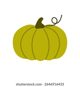 Vector green squash or pumpkin with wide round shape and curly vine, suitable for autumn harvest themes