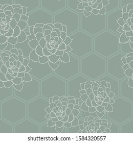 Vector green succulent flower hexagon background seamless pattern print