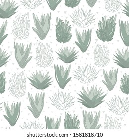Vector green succulent flower seamless pattern print background.