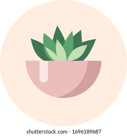 vector green succulent in pink pot in flat style on round pink background. Potted houseplant icon 