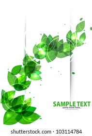 Vector green summer banner