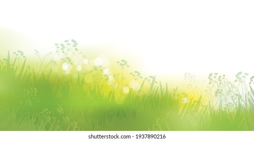 Vector  green,  summer, nature background.