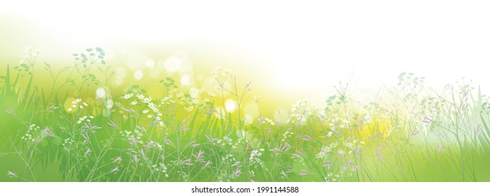 Vector  green,  summer, nature background.