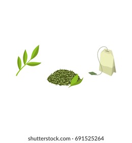 Vector green tea bag, leaf   and tea branch flat set. Isolated illustration on a white background.