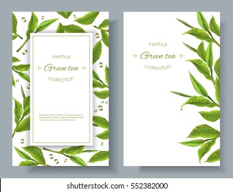 Vector green tea banners with tea leaves and drops on white. Design for packaging, tea shop, drink menu, homeopathy and health care products