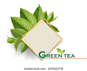 Vector green tea frame with tea leaves and drops on white background. Design for tea packaging, natural cosmetics and health care products. With place for text.