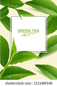 Vector green tea frame with tea leaves and drops on white background. Design for tea packaging, natural cosmetics and health care products. With place for text.