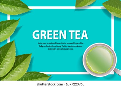 Vector green tea horizontal banner blue tea leaves and drops on leaves. Background design for packaging, Tea Cup, tea shop, drink menu, homeopathy and health care products.