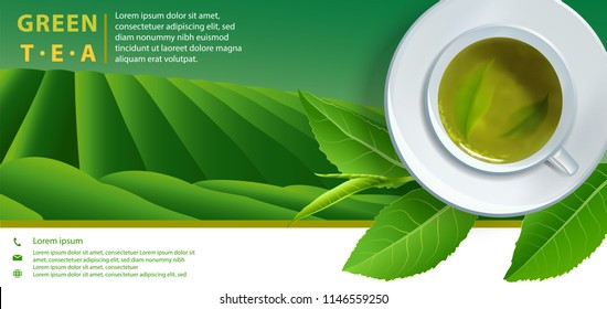 Vector green tea horizontal banner blue tea leaves and drops on leaves. Background design for packaging, Tea Cup, tea shop, drink menu, homeopathy and health care products.
