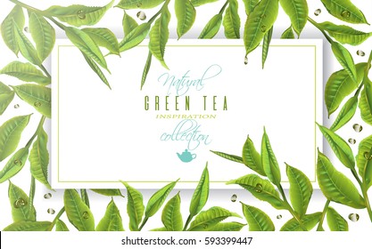 Vector green tea horizontal banner with tea leaves and drops on white background. Design for packaging, tea shop, drink menu, natural cosmetics, homeopathy, health care products. With place for text