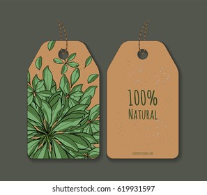 Vector green themed labels or tags. Customize with your own text.