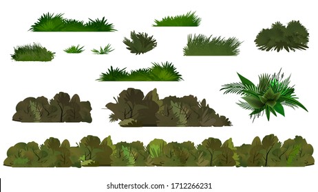 Vector green tree and bush on white background. Summer forest. Vector design. Clean vector landscape like jungle. Tropical collection leaves, grass and bushes