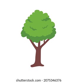 Vector green tree element. fertile forest for decoration
