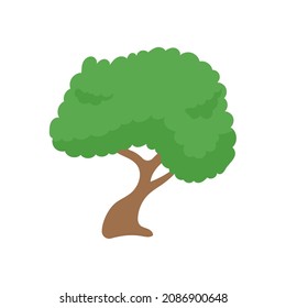 Vector green tree element. fertile forest for decoration