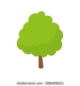 Vector green tree element. fertile forest for decoration