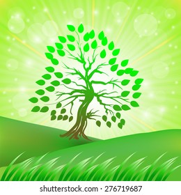 Vector Green Tree Growing on a Green Hill on a Background on the Sun Rays.