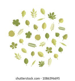 Vector green tree leaves (elm, beech, ash, linden, birch, alder, aspen, willow, maple, poplar, rowan, hawthorn, walnut, apple, oak, acacia, chestnut, conker) in round form isolated on white background