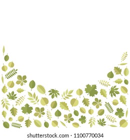 Vector green tree leaves (elm, beech, ash, linden, birch, alder, aspen, willow, maple, poplar, rowan, hawthorn, walnut, apple, oak, acacia, chestnut, conker) in bottom part isolated on white backgound