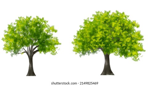 Vector green tree side view isolated on white background for landscape and architecture drawing, elements for environment and garden