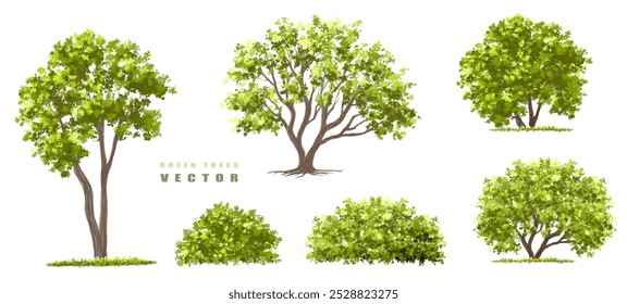 Vector of green tree side view isolated on white background ,watercolor tree elevation for landscape concept,environment scene,eco design, garden for spring