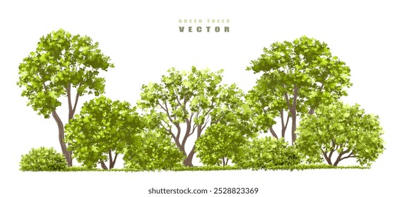 Vector of green tree side view isolated on white background ,watercolor tree elevation for landscape concept,environment scene,eco design, garden for spring
