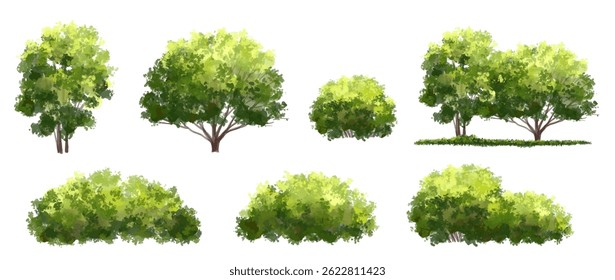 Vector of green tree side view isolated on white background ,watercolor tree elevation for landscape concept,environment scene,eco design, garden for spring