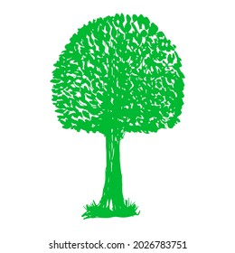 Árbol verde vectorial al estilo de la silueta. Esbozo de una sola planta aislada en fondo blanco.