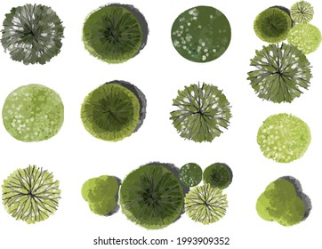 vector green tree top view isolated on white background for landscape plan and architecture layout drawing, elements for environment and garden, green grass vector illustration - Shutterstock ID 1993909352