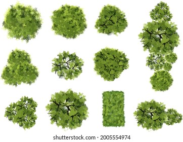 Vector Green Tree Top View Isolated Stock Vector (Royalty Free ...