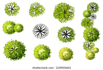 Vector Green Tree Top View Isolated Stock Vector (Royalty Free ...