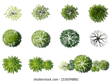 Vector green tree top view isolated on white background for landscape plan and architecture drawing, elements for environment and garden