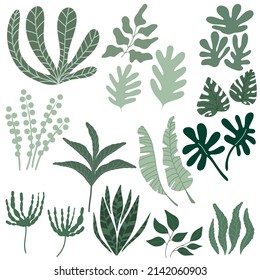Vector green Tropical leaves and branches illustration on white background. Jungle floral design elements for textiles print or party invitations 