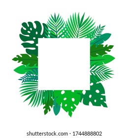 Vector green tropical leaves square frame