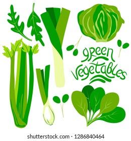vector green vegetables celery onion iceberg lettuce arugula spinach t lettering  set on white for your design