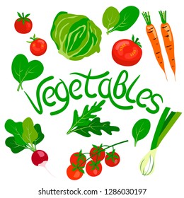 vector green vegetables iceberg lettuce arugula spinach cherry tomato radish carrot lettering  set on white for your design