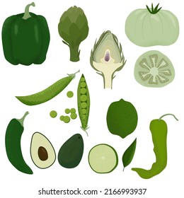 Vector green vegetables set. Hand drawn illustration with textures. Collection of farm products: green tomato, artichoke, bell pepper, jalapeno, chili, lime, peas, avocado