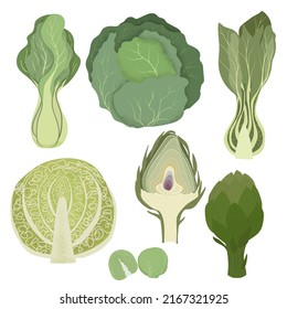 Vector green vegetables set. Hand drawn illustration with textures. Collection of farm products:  artichoke, cabbage, bok choi